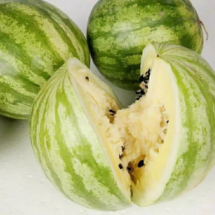 甘肃民勤戈壁滩瓜籽 特产优质籽瓜打瓜子 黑籽西瓜子可食用沙漠瓜