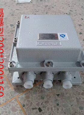 防爆配电箱200*300隔爆型分接线盒IIB铝合金开窗装玻璃防爆空箱柜