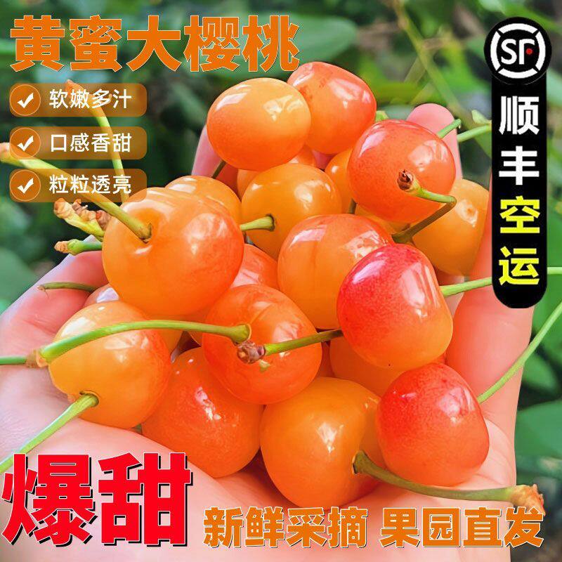黄蜜樱桃新鲜水果孕妇正宗水晶当季黄金车厘子山东大樱桃京东顺丰