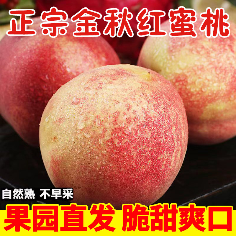 金秋红桃当季新鲜桃子毛桃脱骨脆甜时令水果水蜜桃整箱包邮