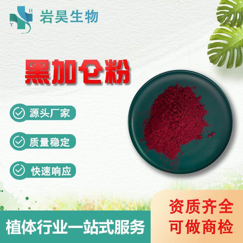 黑加仑粉果蔬粉速溶果汁粉固体饮料原料水溶性黑加仑提取物