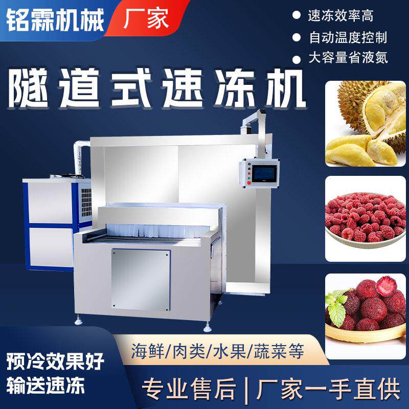 全自动金枕榴莲隧道式速冻机商用树莓桑葚梅子大型隧道速冻设备