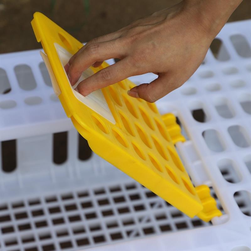 成鸡活鸡笼子肉兔笼鸡用鸽笼子筐子鸡鸭鹅运输鸡笼周转箱货运塑料