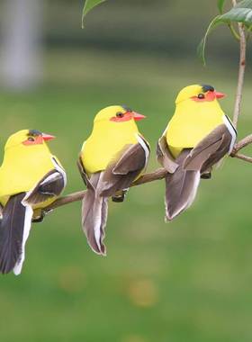 仿真羽毛小鸟黄鹂鸟彩色泡沫鸟绿植捆绑园艺园林装饰工艺家居摆件