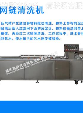 菠多功能油菜泡气清洗机菜清洗焯水设菜备去BKR农残臭氧杀菌蔬清