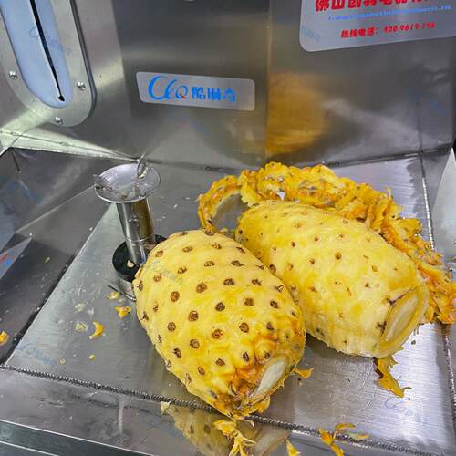 C直销大型瓜果削皮机高端削皮机菠萝削皮南瓜削皮哈密瓜削皮设备