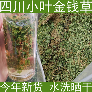 金钱草四川小叶金钱草茶干金钱草中草药中药材马蹄金今年晒干新货
