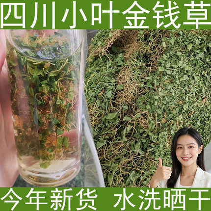 金钱草四川小叶金钱草茶干金钱草中草药中药材马蹄金今年晒干新货