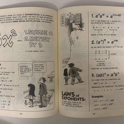 The Cartoon Guide to Statistics 爆笑漫画系列9册英语科学科普