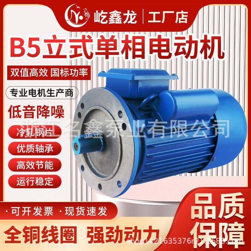 铸铁单相异步YL90电动机220v减速机电动机YL80YL100立式4极6极8极