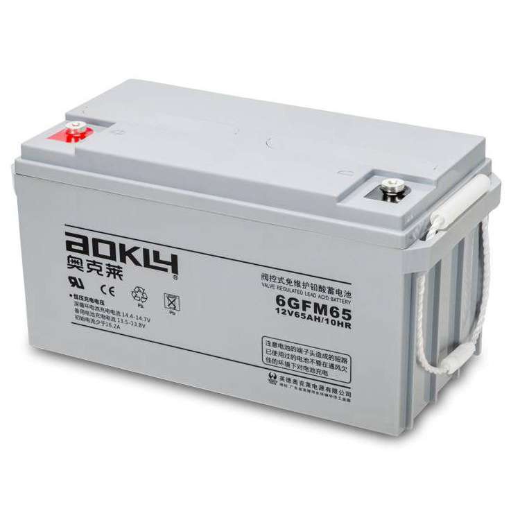 奥克莱蓄电池12V6H 6GFM65 UPS/EPS直流屏机房通信备用电池