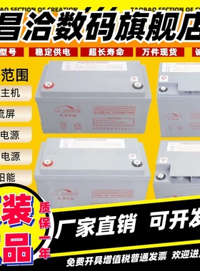 天津彩虹蓄电池6GFM-12V200A100A65A40A38A24A17AH直流屏EUPS应急