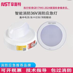 NST拿斯特A型智能24V36v消防应急照明灯集中电源壁装应急照明灯