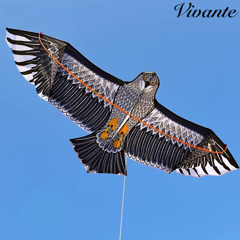 德国精品2025新款老鹰风筝易飞