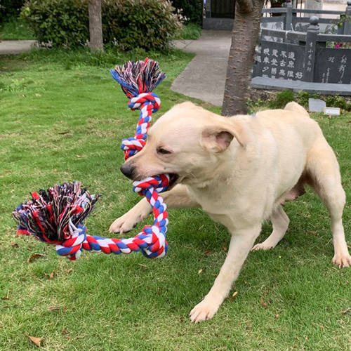 狗狗玩具咬绳棉绳成犬宠物解闷跨境爆款耐咬磨牙棒啃咬洁牙大型犬