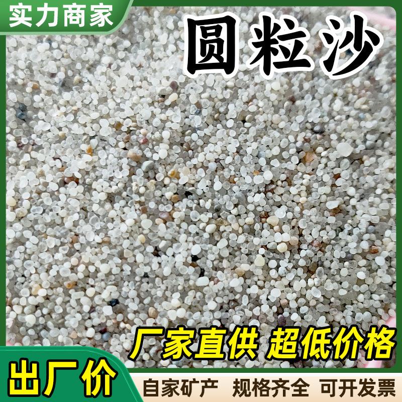 圆粒沙子儿童娱乐圆粒砂人造沙滩无尘海沙白沙子石子水洗小圆粒沙