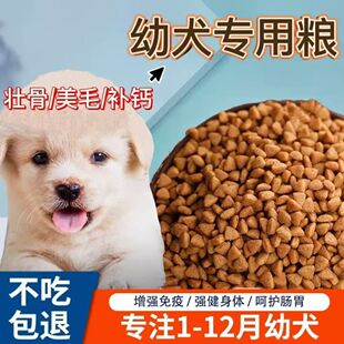 狗粮小型犬奶糕幼犬狗粮泰迪拉布拉多金毛土狗比熊幼崽通用型批发