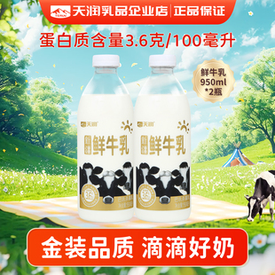 新疆天润巴氏鲜奶低温鲜牛乳大瓶早餐奶950ml
