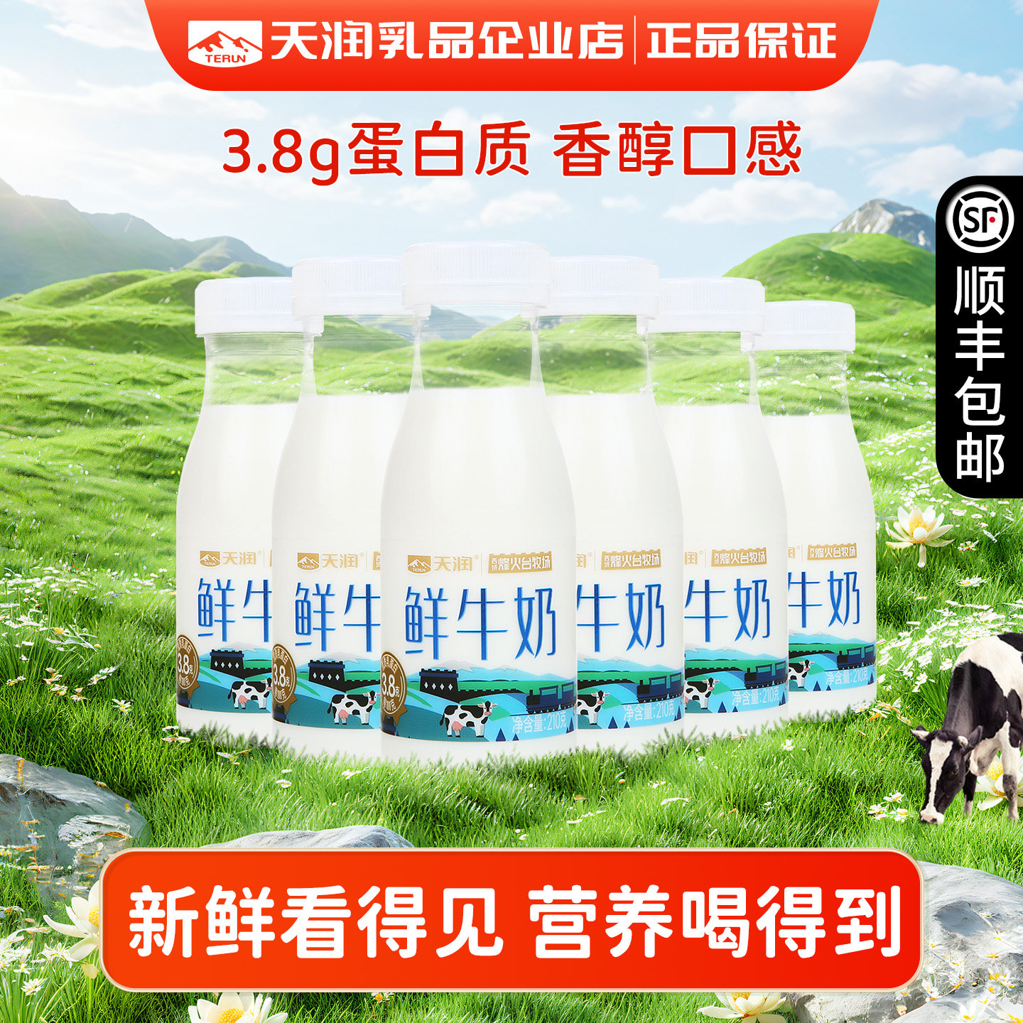 天润新疆巴氏低温灭菌鲜牛乳3.8g蛋白质营养低温鲜牛奶210g*6瓶起