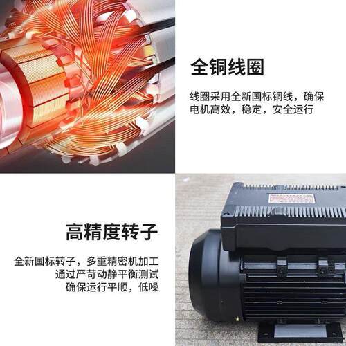 飞驰邦铜驰大乘水魔力高压清洗380v202v1洗车机泵机头国标线电机