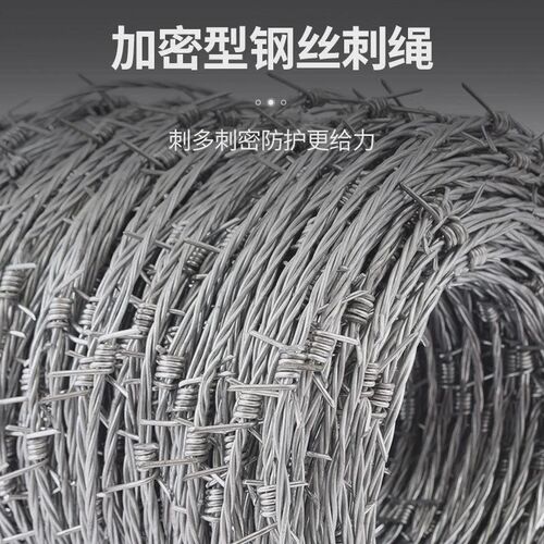 热销防盗刺绳带刺防护网钢丝绳网热镀锌铁丝防爬T铁蒺藜围墙围栏