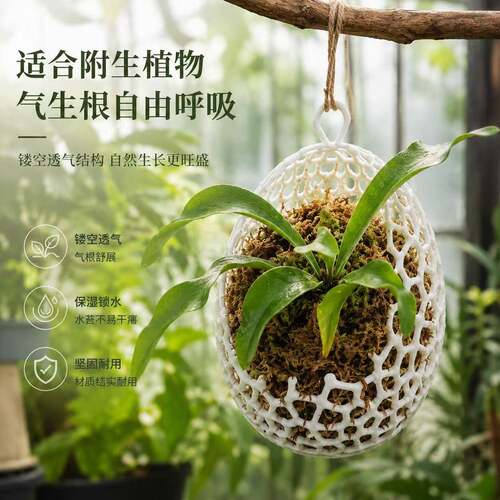 3D打印蛋形悬挂种植球 鹿角蕨洋兰吊盆 镂空透气水苔种植篮不闷根