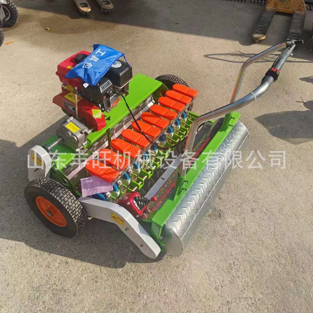 汽油多行蔬菜播种机 菜籽叶菜类播种机 免间苗大棚蔬菜种植机