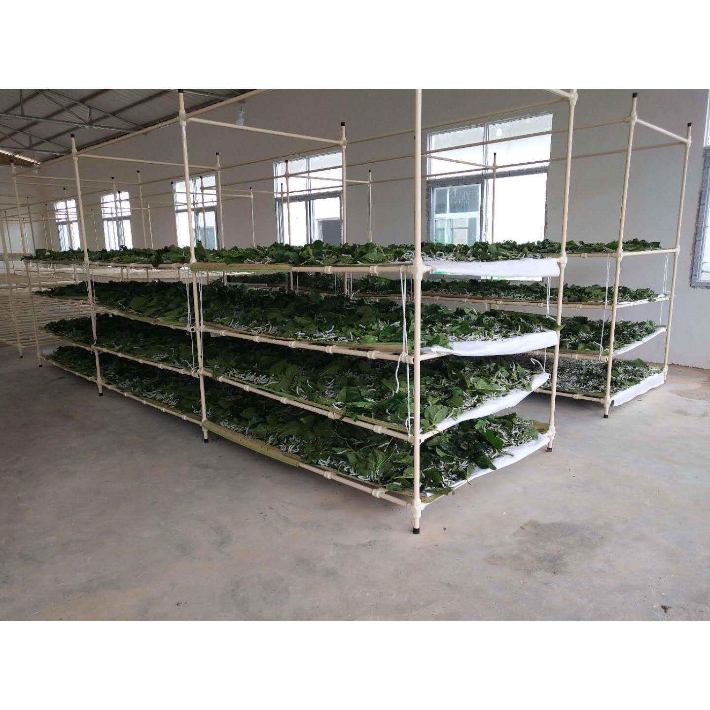 上智蚕具省力化蚕台大蚕饲养设备快装式蚕台养蚕用具蚕架蚕座蚕床