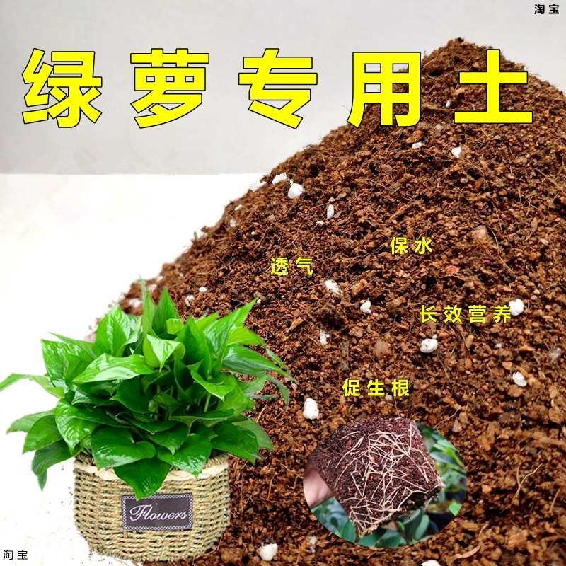 绿萝专用土不易板结吸毒绿植培植土壤弱酸性花卉盆栽通用型营养土