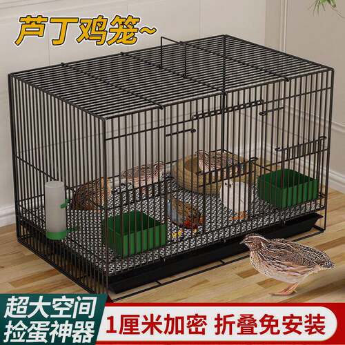 芦丁鸡专用养殖笼子家用加密大号芦丁鸡铁丝笼小鸡小鸭子鹌鹑鸟笼