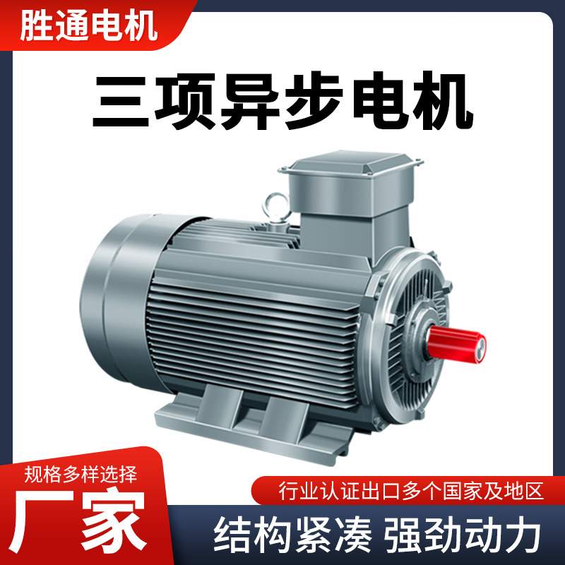 电机 全铜绕线 硅钢片定转子4极22千瓦电动机马达Induction motor