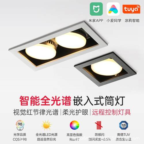 led筒灯天花灯嵌入式双头斗胆客厅无主灯护眼过道智能gx53