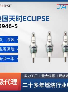 Eclipse天时打火针 16946-5 烧嘴燃烧机配件点火电极工业点火棒