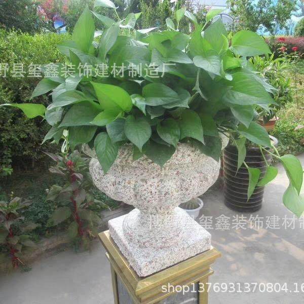 厂家销售水泥盆景观装饰花盆别墅小院门厅及花园装饰物异形圆形方,3C数码配件,USB灯,淘宝优惠券,粉丝福利购,淘宝优惠卷