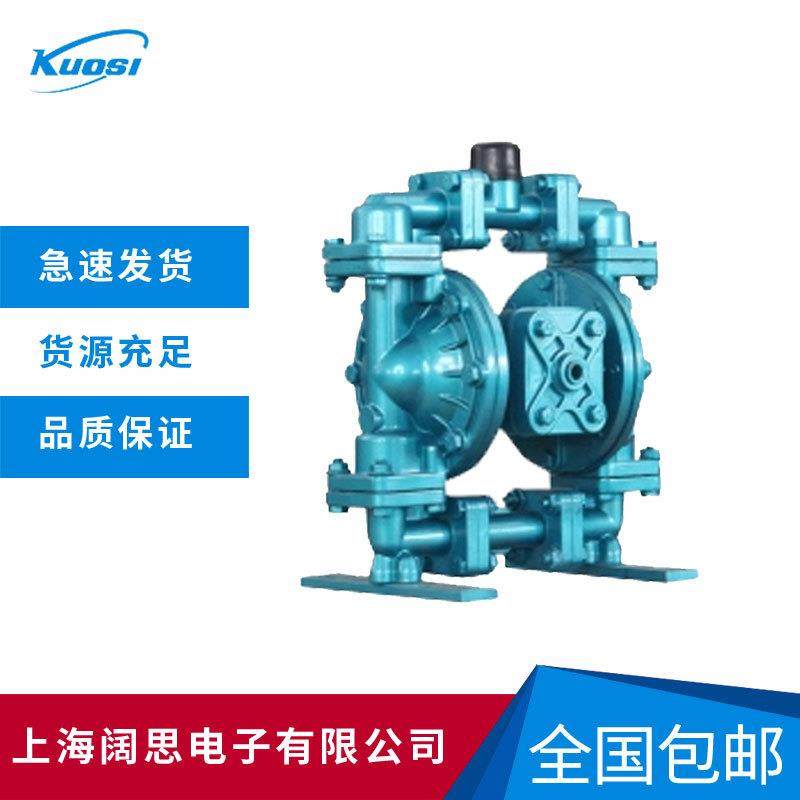 排污泵Skylink斯凯力LS15AA-AA-T/N-TT-TT-00隔膜泵/管道泵