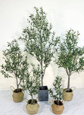 仿真橄榄树北欧风装饰绿植客厅落地大型盆栽室内盆景摆件假盆景