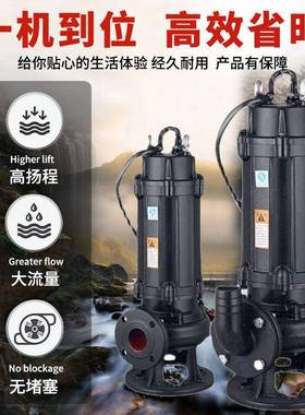 上海人民全铜国标家用污水泵220V潜水泵380v三相潜水标准排污泵