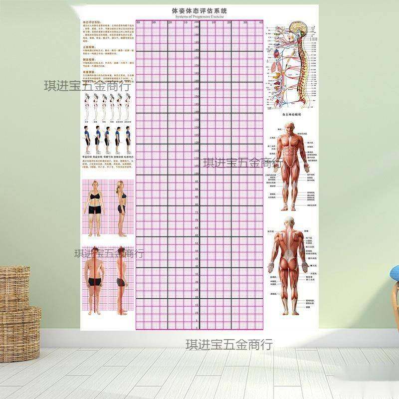体态评估表体姿纸表格体测体态体姿图系统墙贴纸瑜伽健身房网格馆
