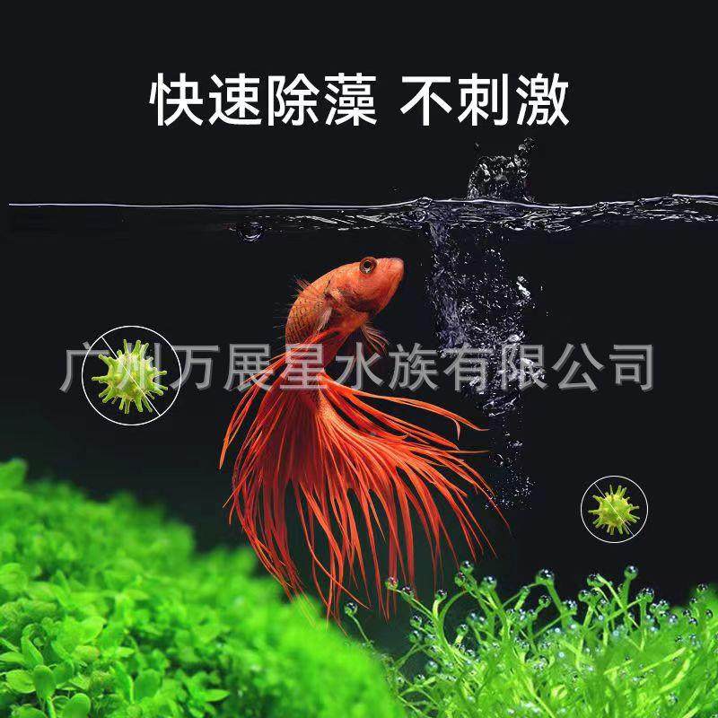 百美N1藻褐剂鱼N1缸去苔剂青苔清除剂草缸鱼池藻绿因藻除黑毛藻,宠物/宠物食品及用品,其它水族用具设备,淘宝优惠券,粉丝福利购,淘宝优惠卷