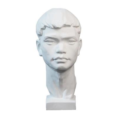 广东青年石膏头摆件VFC美术教具5雕0厘米石像膏像静物塑素描写生