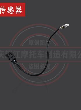 D5和C1与C2氧气感测器望江天地游侠摩童迷你街车TD150-3布雷斯通