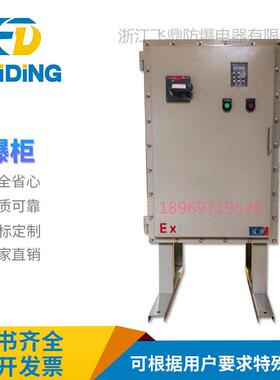 不锈钢防爆照明动力配电箱仪表检修控制开关电源柜防爆接线箱IIC