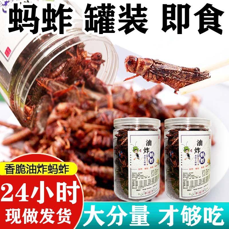 蚂蚱油炸即食新鲜下酒菜零食罐装香辣蝗虫零食用麻辣昆虫美食特产