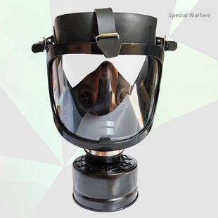 大视场防毒面具甲醛氯苯粉尘喷漆氢硫化过滤器防火防烟面具