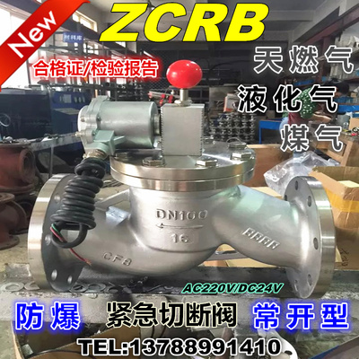 ZCRB 天然气紧急切断阀 自动防爆液化石油天然气电磁阀 DN25-D300