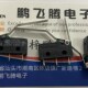 德国CHERRY樱桃 DB3带长柄摆杆微动开关行程限位复位按钮0.1A 3脚