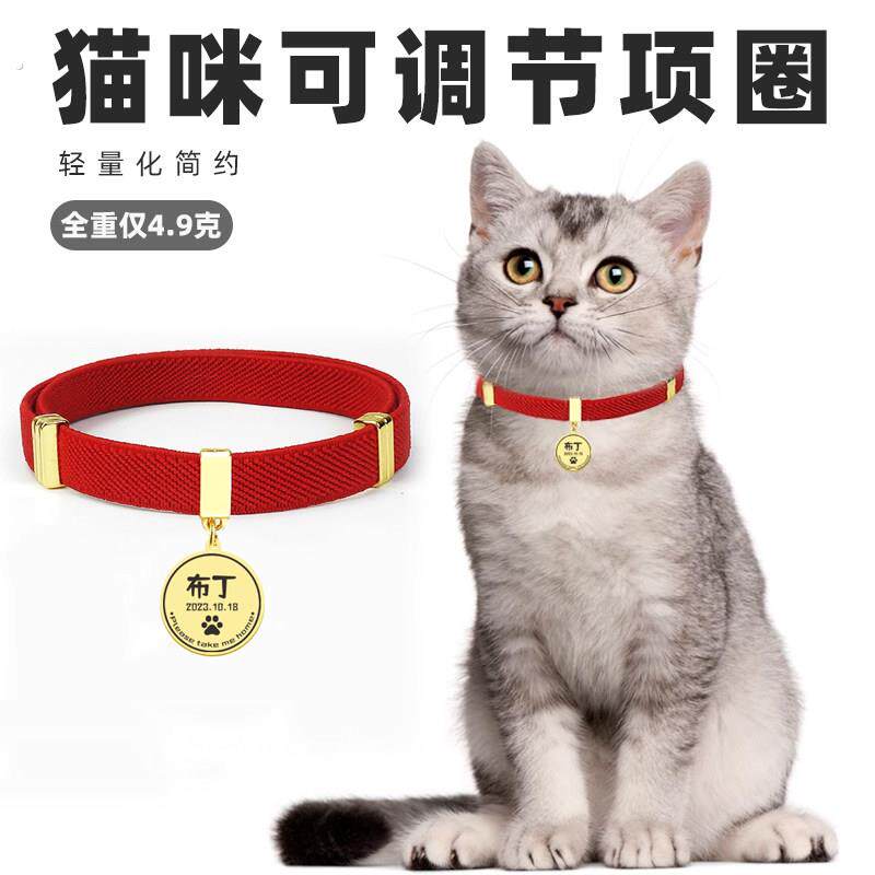 猫咪项圈大小松紧可调防丢猫牌小型犬狗牌可定制刻字猫圈身份牌