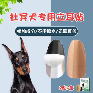 杜宾立耳器幼犬中型犬狗狗立耳朵神器德牧耳朵固定器卡斯罗立耳贴
