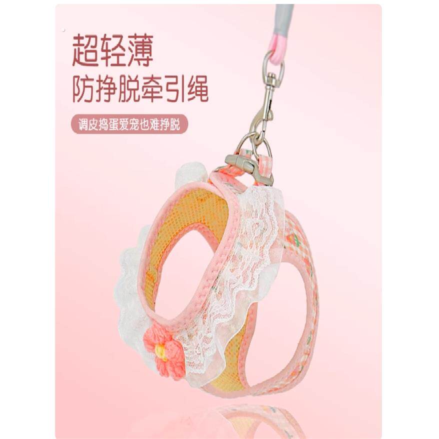 猫咪牵引绳防挣脱外出专用可爱背心式溜猫胸背带可调节宠物遛猫绳