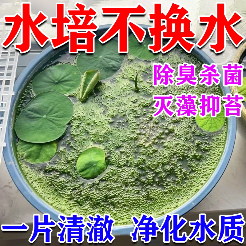 水培植物净水片除臭杀菌消毒青苔除藻净水剂碗莲睡莲醒鲜花保鲜剂